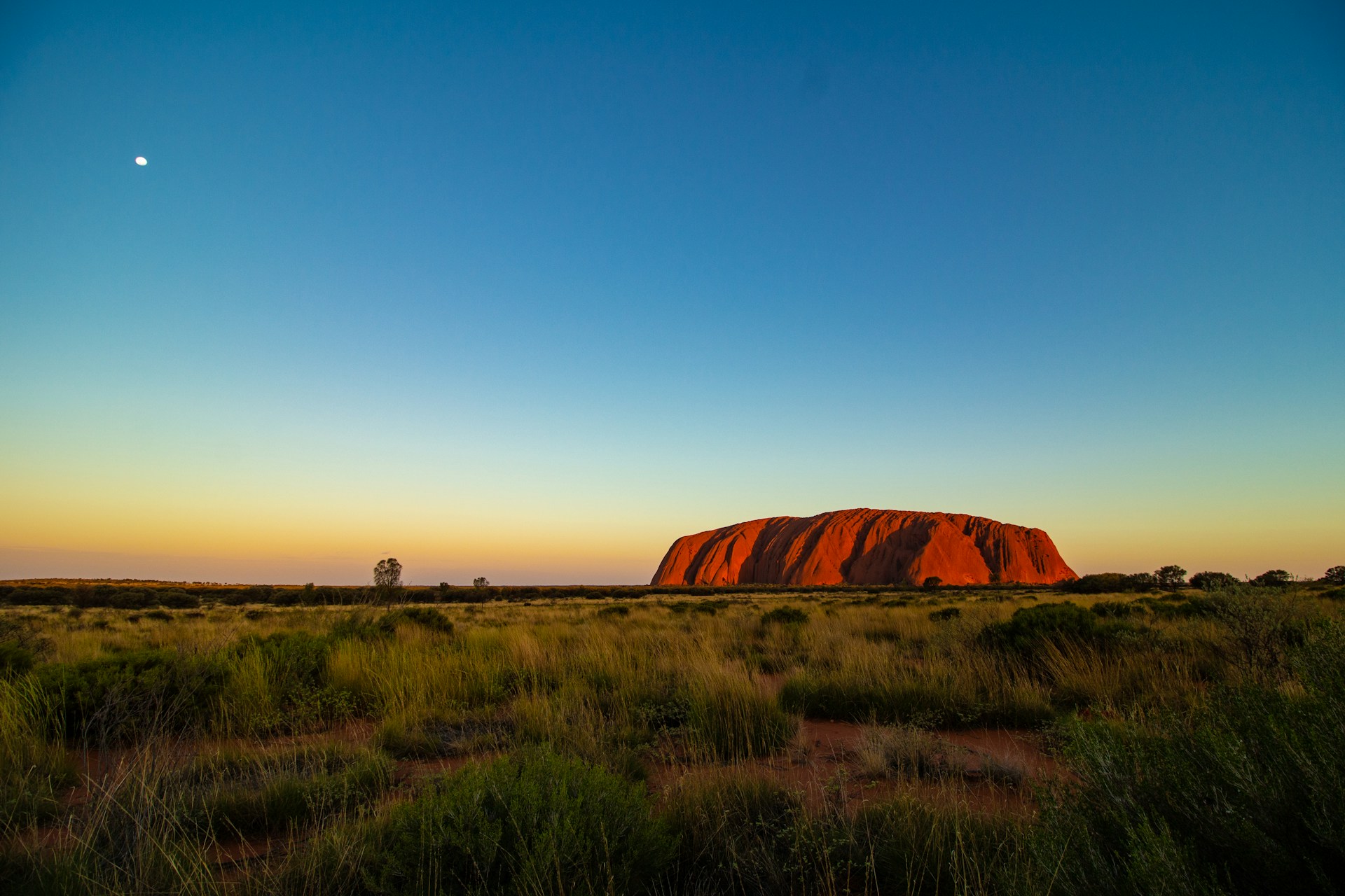 Iconic Northern Territory landscape with Uluru in the distance